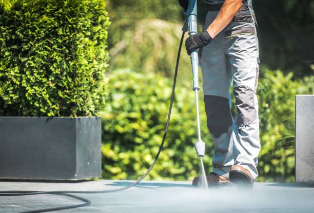 Professional Pressure Washing Services in East Highland Park, VA